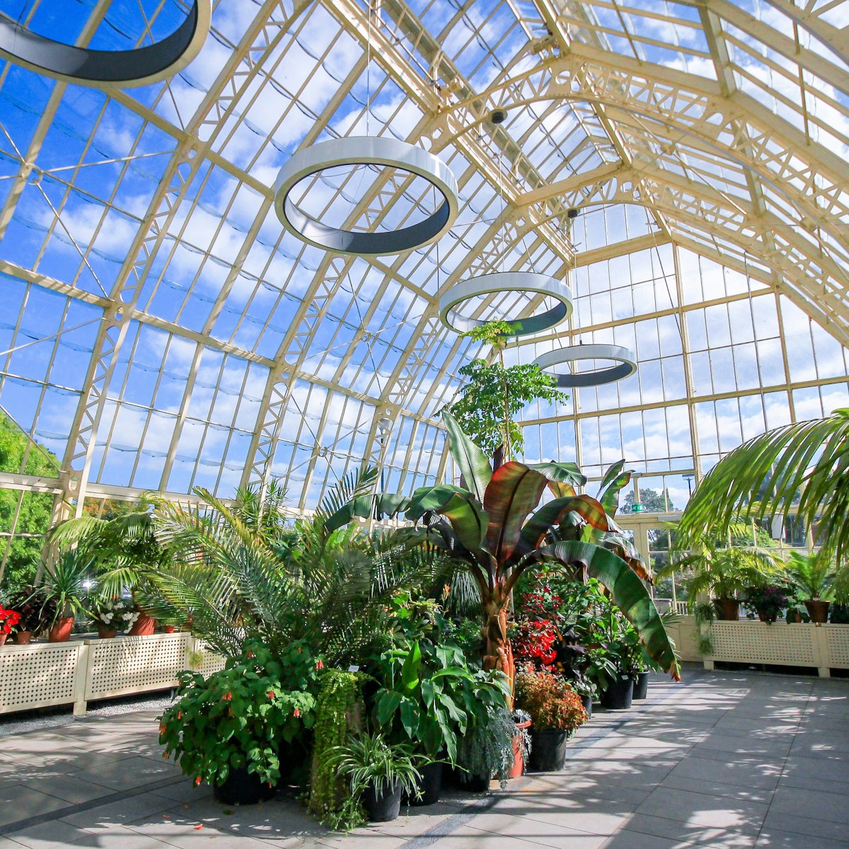 DUBLIN, IRELAND - AUGUST 4, 2018: Wide Angle View of the interior of a glasshouse of The National Botanic Gardens in Dublin, Ireland in a sunny day with blue sky.